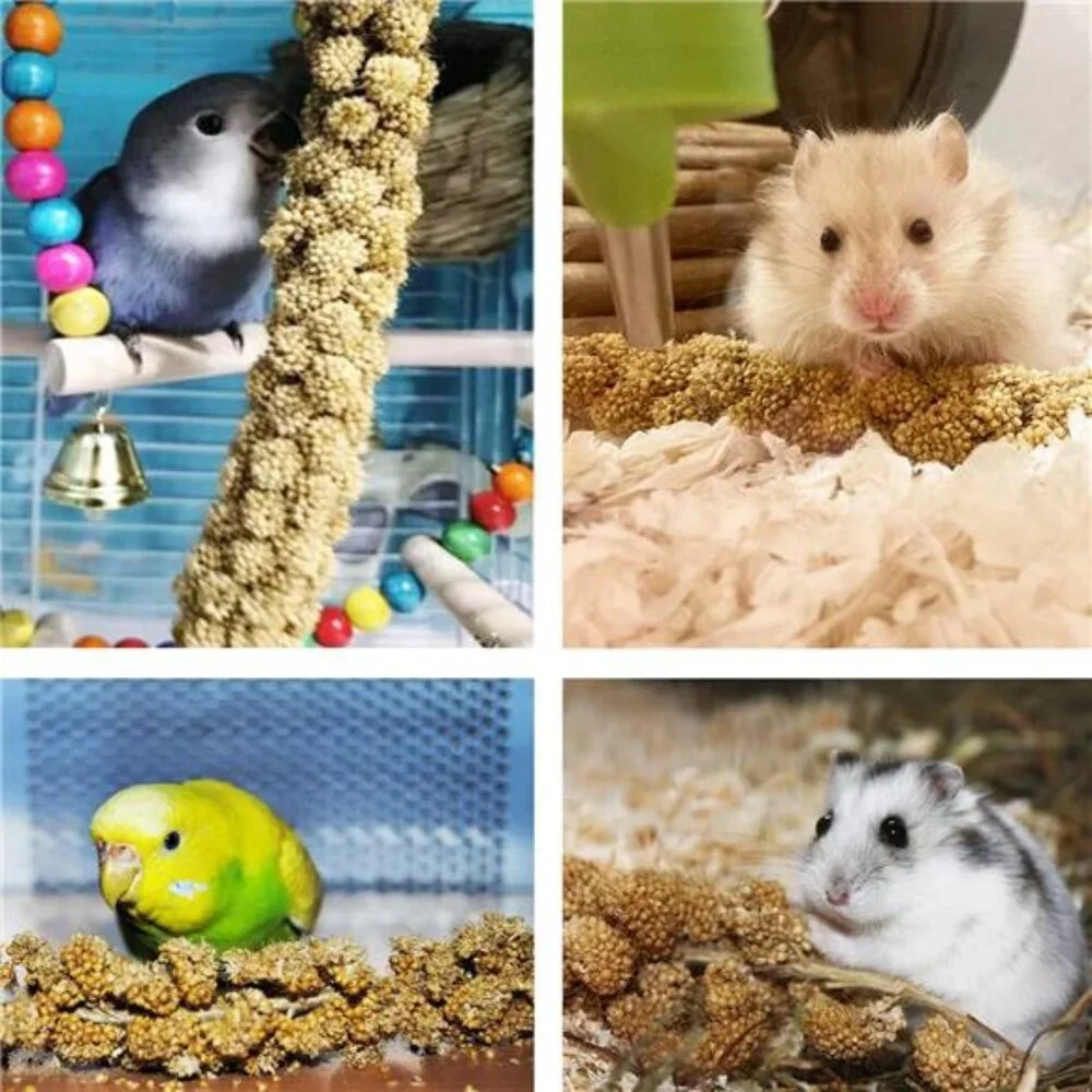 1LB Spray Millet Treat for Birds Parakeets, Natural Sun-Dried Birds Millet
